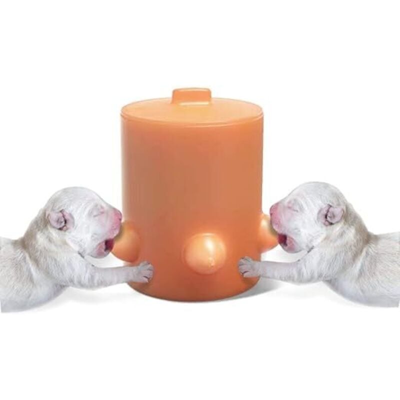 Bebusingoto Silikon-milchspender Für Welpen, 5 Nippel, Stillstation, Schüssel, Bionisches Selbstfütterungsgerät Für Babys, Haustiere, Welpen, Katzen Und Hunde Bebusingoto Silikon-milchspender Für Welpen, 5 Nippel, Stillstation, Schüssel, Bionisches Selbstfütterungsgerät Für Babys, Haustiere, Welpen, Katzen Und Hunde