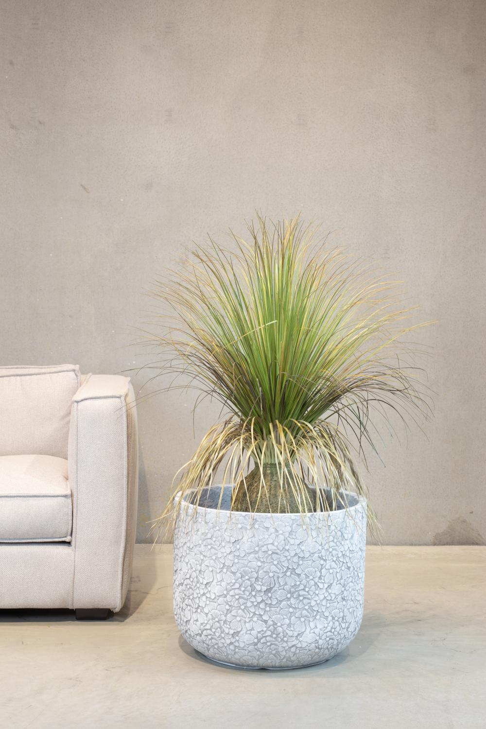 Gras - Calibanus hookeri - Kunstpflanze 90 cm - Gallery 1 Gras - Calibanus hookeri - Kunstpflanze 90 cm