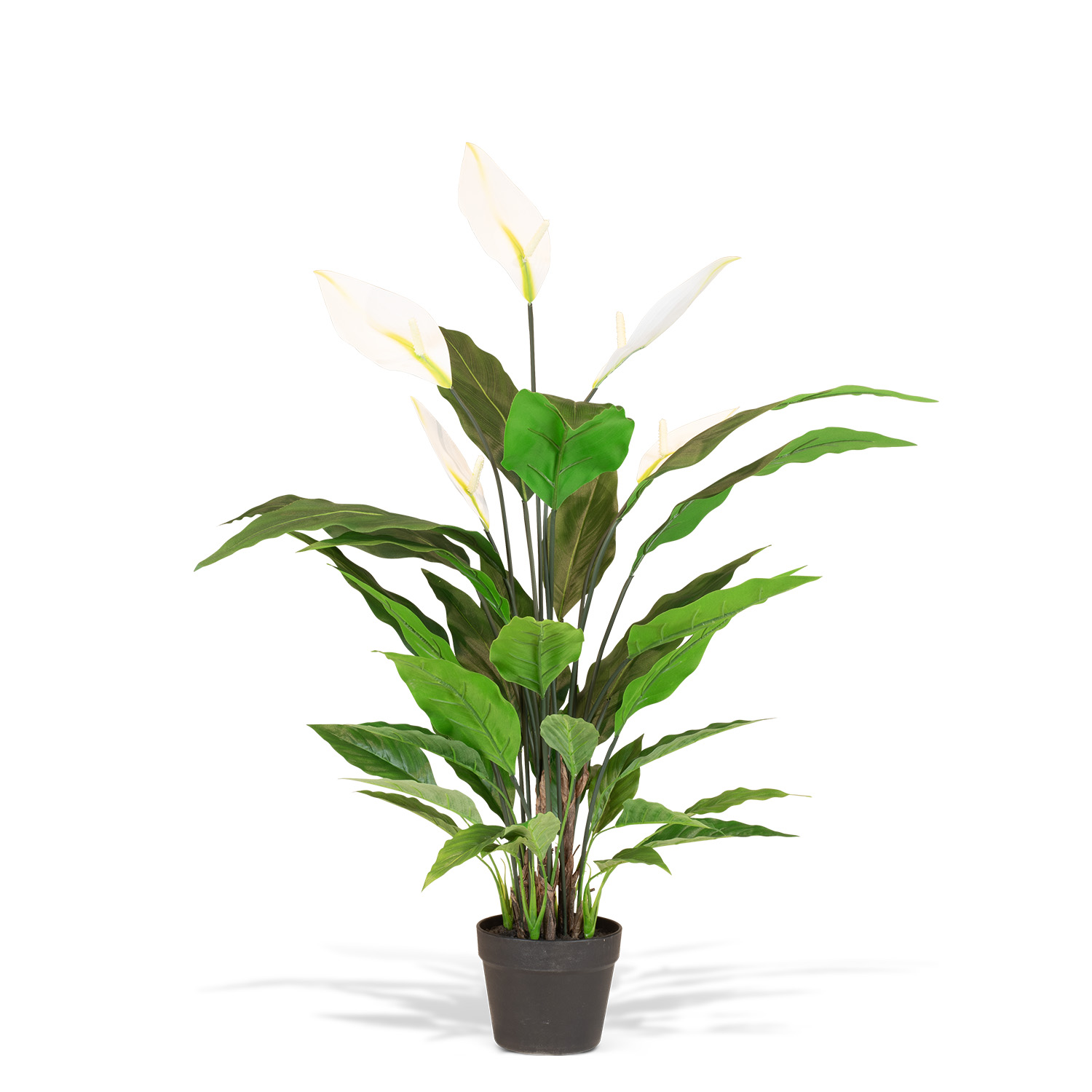 Spathiphyllum (Einblatt) Kunstpflanze mit 5 Blüten UV-Stabil 120 cm