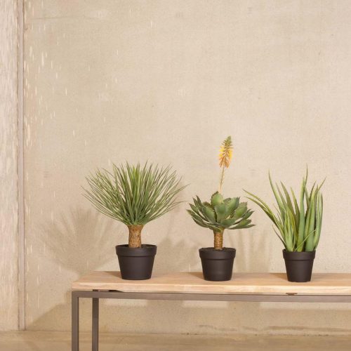 Yucca rostrata Kunstpflanze UV-Stabil 55 cm