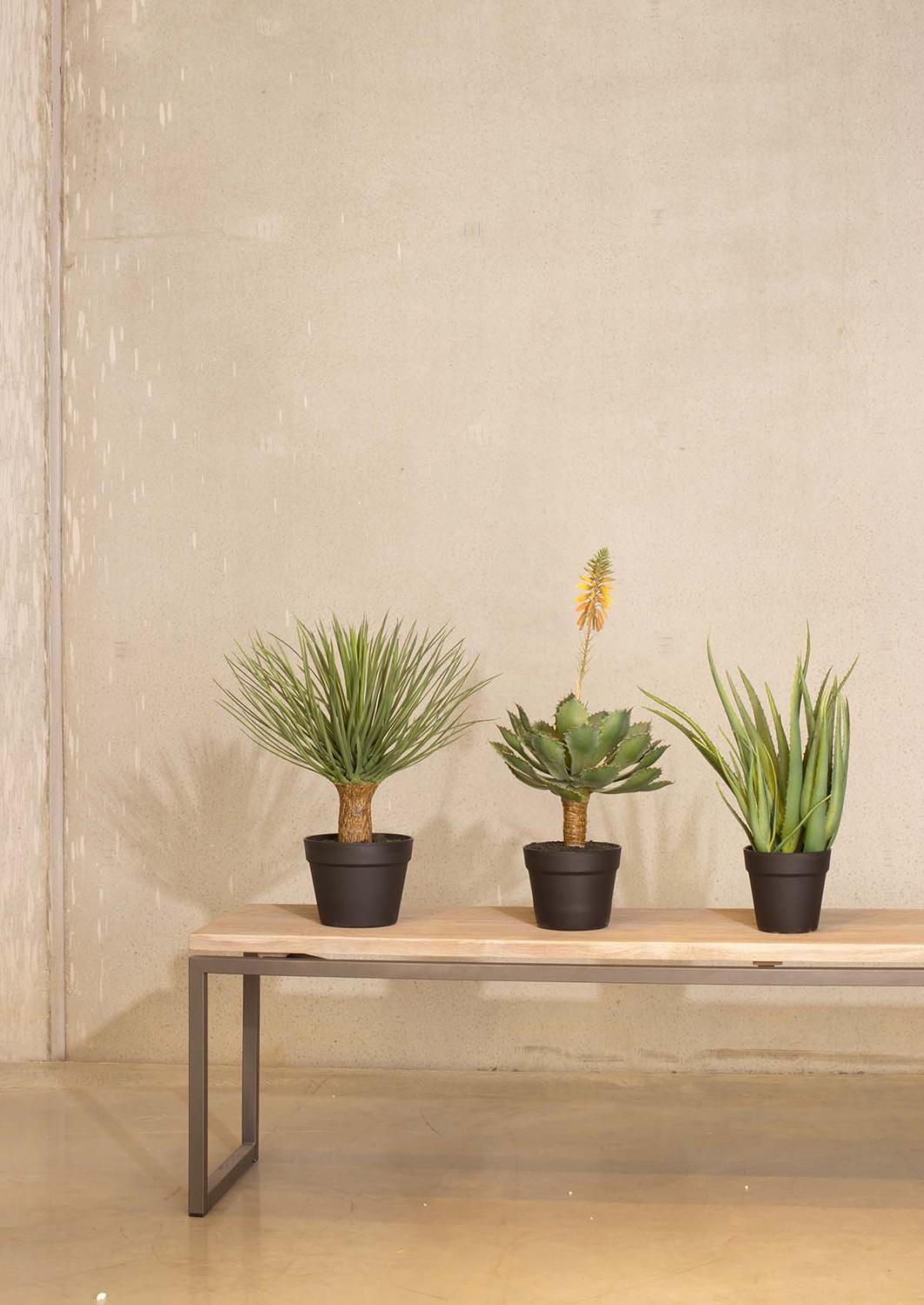 Yucca rostrata Kunstpflanze UV-Stabil 55 cm Yucca rostrata Kunstpflanze UV-Stabil 55 cm