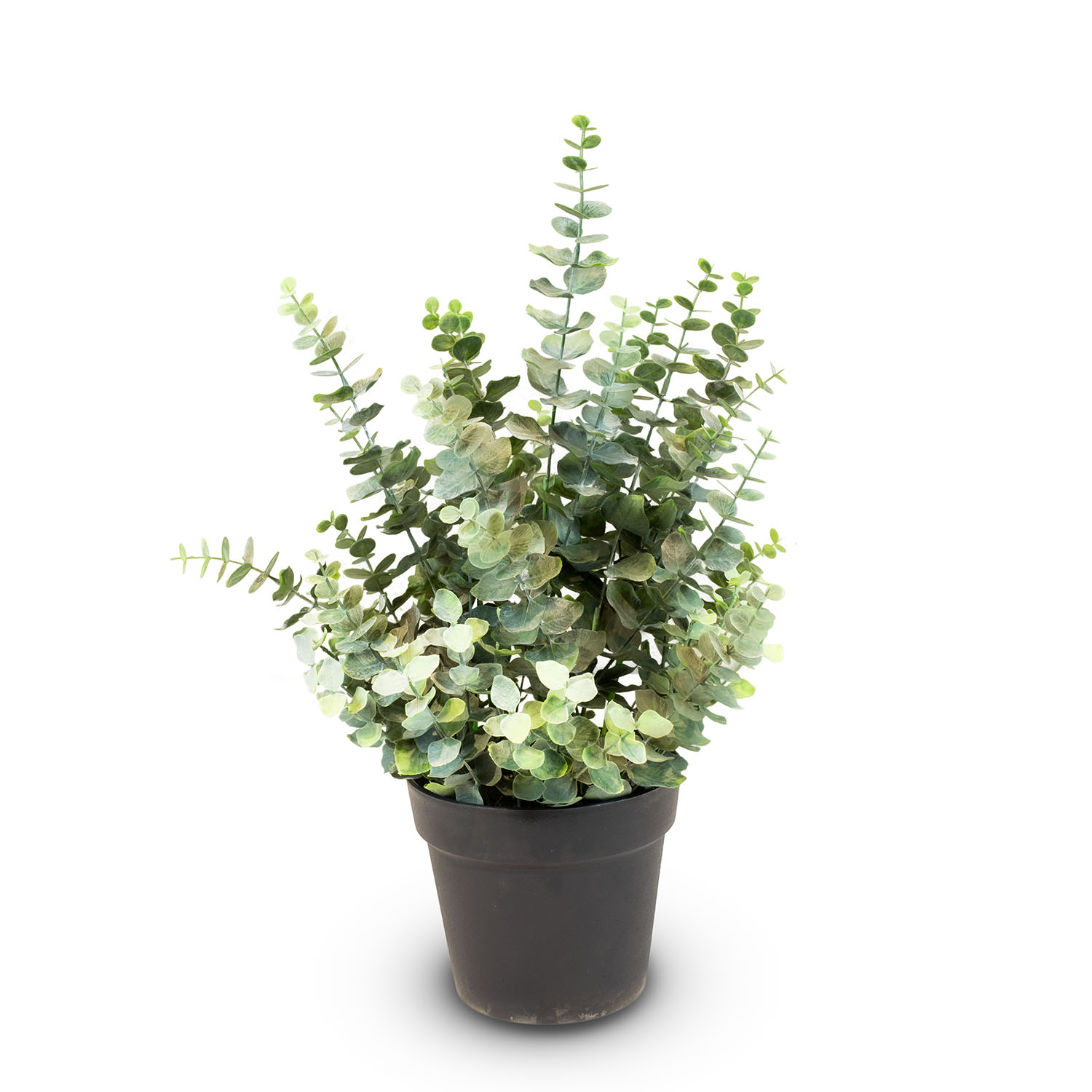 Künstliche Eucalyptus Pflanze, Höhe 60 cm Künstliche Eucalyptus Pflanze, Höhe 60 cm