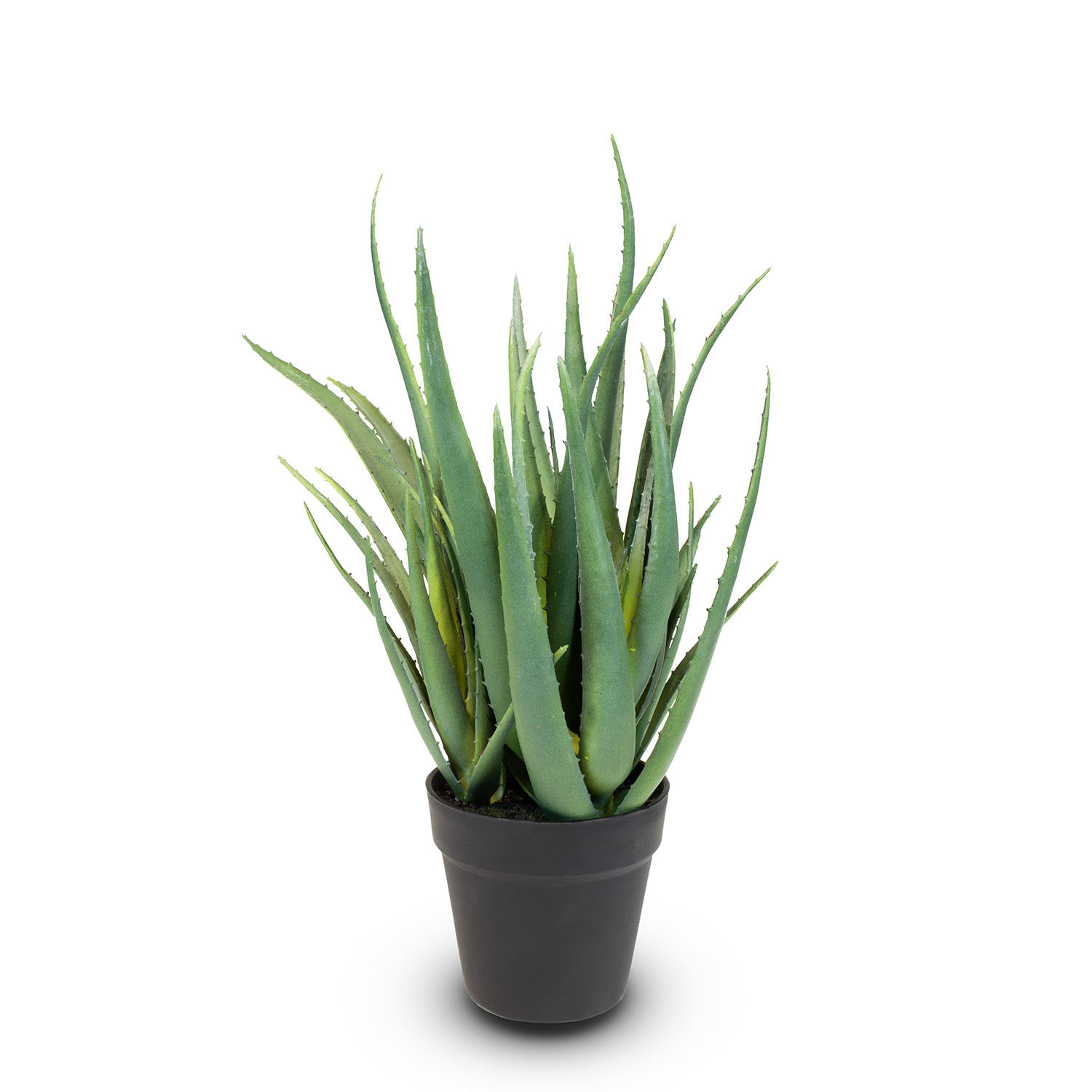 Aloe Vera Kunstpflanze, Höhe 50 cm Aloe Vera Kunstpflanze, Höhe 50 cm