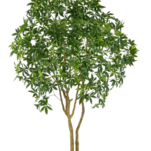 Künstliche Glückskastanie – Mitsu | 285 cm