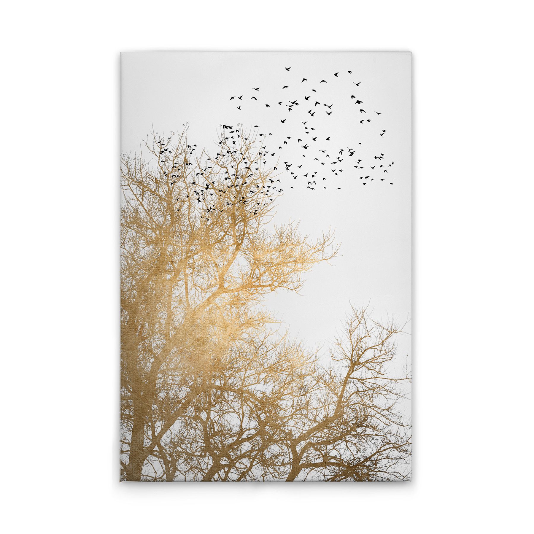 Leinwandbild Baumkrone Weiß Gold M1-no.50674 - Kunstdruck Auf Leinwand In Creme Gold - Wandbild 80 X 120 Cm