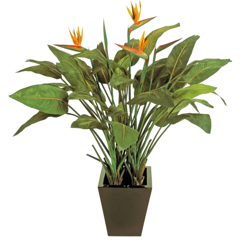 Künstliche Strelitzia – Charlotte | 130 cm
