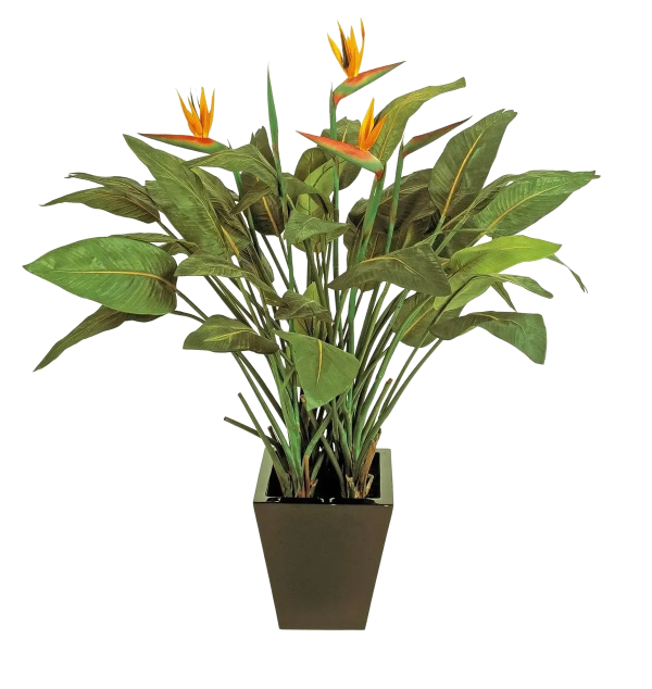 Künstliche Strelitzia – Charlotte | 130 cm