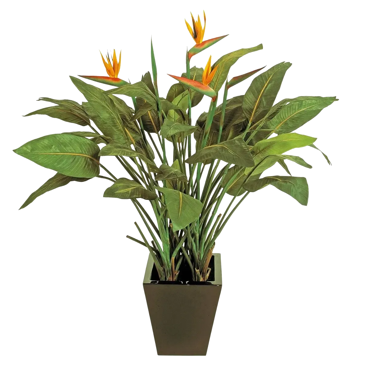 Künstliche Strelitzia – Charlotte | 130 cm