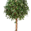 Künstlicher Ficus Baum - Nero | 360 cm