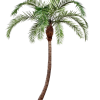 Künstliche Phoenixpalme - Simon | 390 cm
