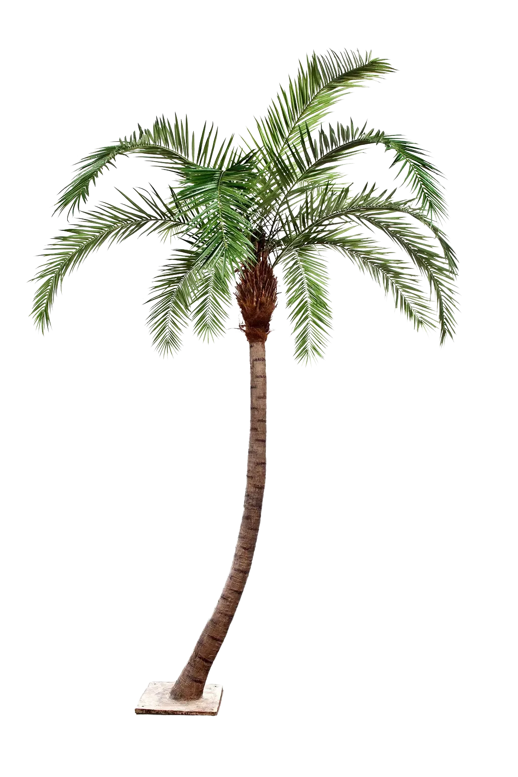 Künstliche Phoenixpalme - Simon | 390 cm