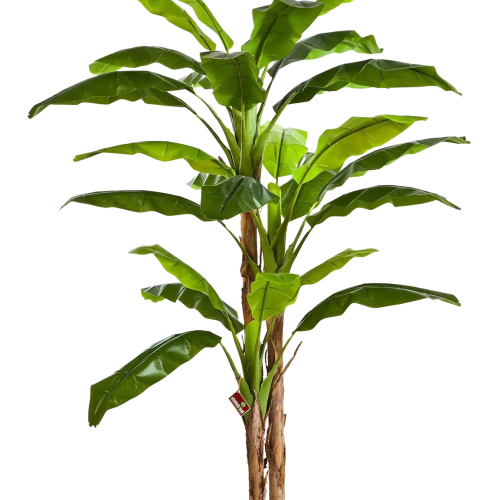 Künstlicher Bananenbaum – Pauline | 300 cm