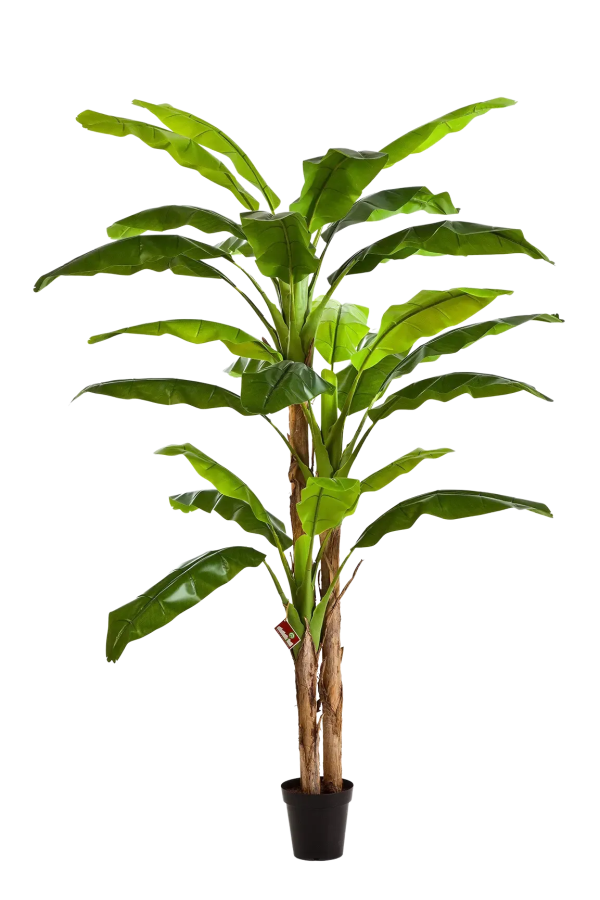 Künstlicher Bananenbaum – Pauline | 300 cm Künstlicher Bananenbaum – Pauline | 300 cm