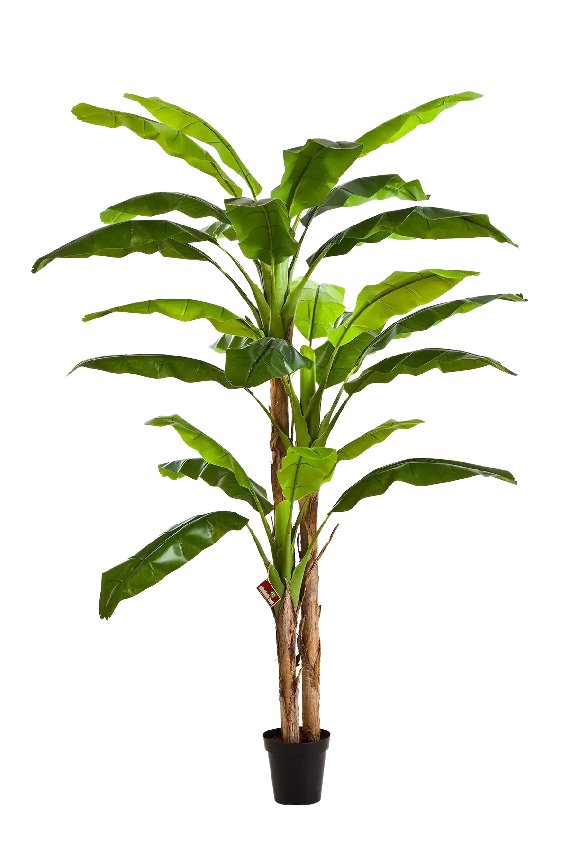 Künstlicher Bananenbaum – Pauline | 300 cm