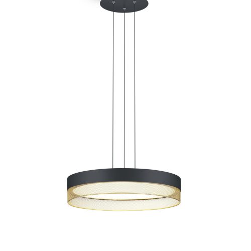 Elements by Bankamp LED-Pendelleuchte 1-flg. in schwarz-gold Elements by Bankamp LED-Pendelleuchte 1-flg. in schwarz-gold