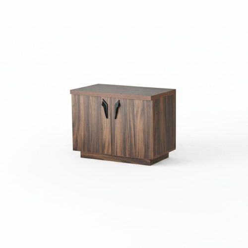 Kommode Braun Zweitürig Büro Arbeitszimmer Modern Rechteckig Sideboard
