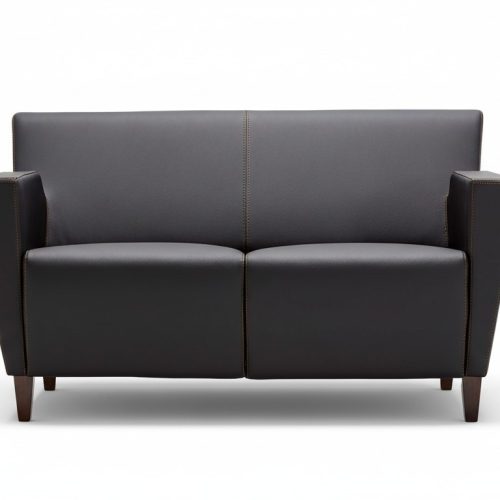 Sofa 2 Sitzer Büromöbel Polster Design Luxus Couch Leder Sofas