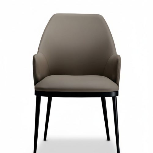Stühle Esszimmerstuhl Modern Esszimmerstuhl Polsterstuhl Design Möbel