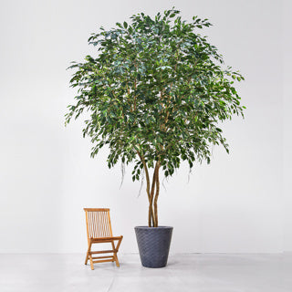 Künstlicher Ficusbaum - Satos | 500 cm