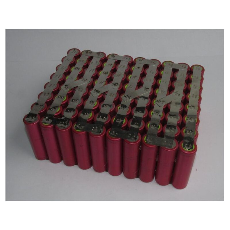 Akkupack für Dolphin 0901036 - 36 Volt Li-Ion Akku zum Selbsteinbau