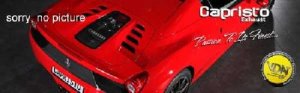 Capristo Endschalldämpfer mit Kats und ECE passend für Audi R8 Capristo Endschalldämpfer mit Kats und ECE passend für Audi R8