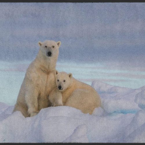 Fussmatte Eisbär 4809