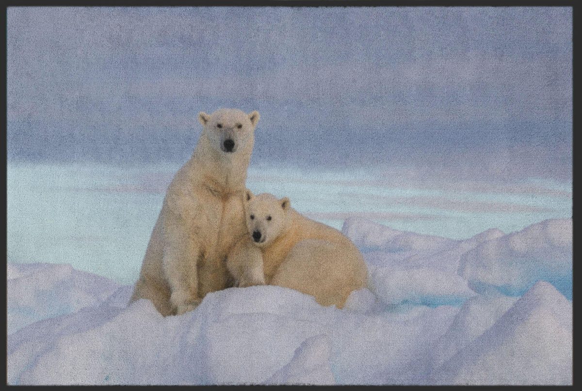 Fussmatte Eisbär 4809