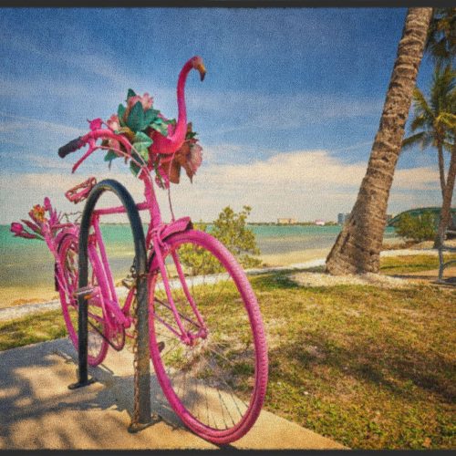 Fussmatte Fahrrad 4992