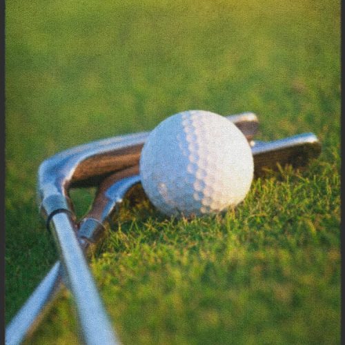Fussmatte Golf 7131