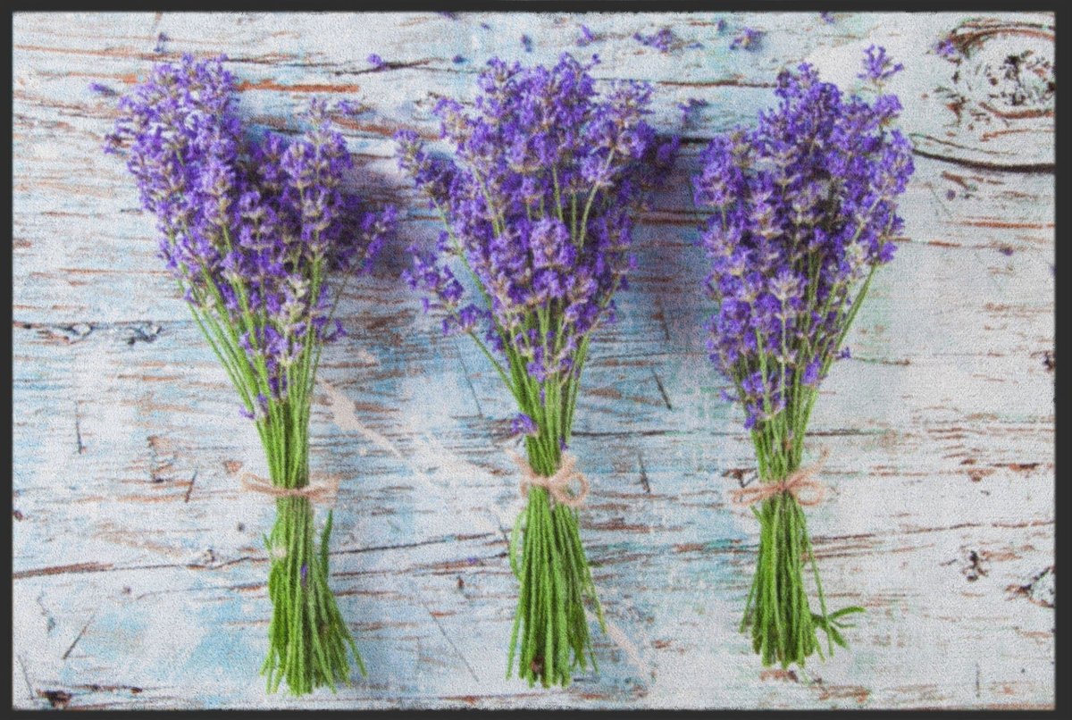 Fussmatte Lavendel 4641 Fussmatte Lavendel 4641