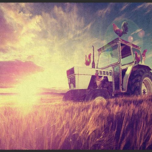 Fussmatte Traktor 4921