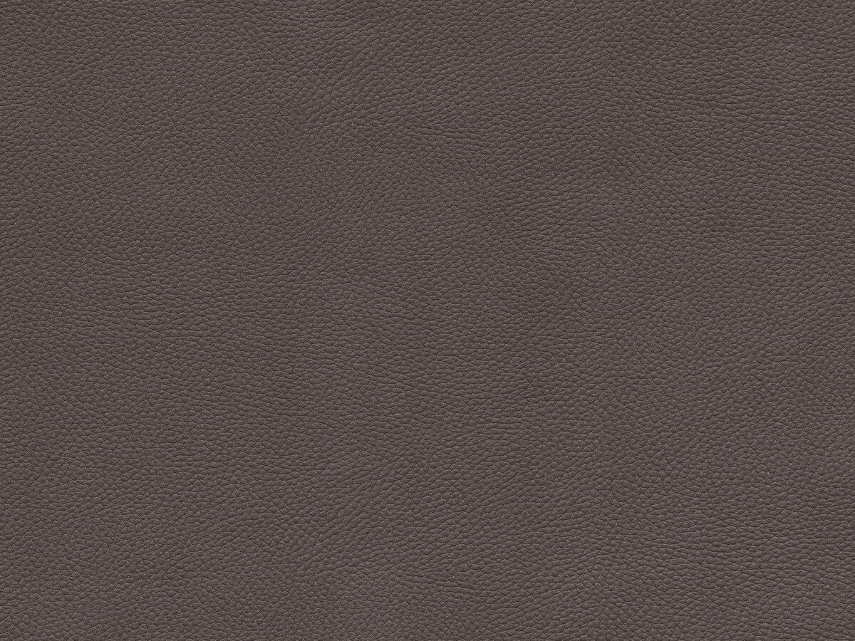 Hasena Wandpaneel Sogno L 180 cm Tocco chocolate (712)