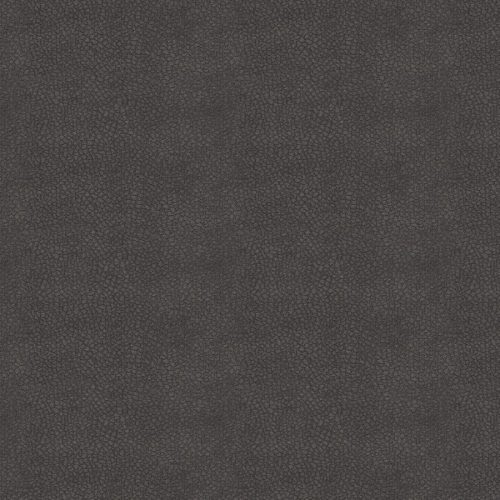 Hasena Wandpaneel Sogno XL 200 cm Rinovo anthracit (700) Hasena Wandpaneel Sogno XL 200 cm Rinovo anthracit (700)