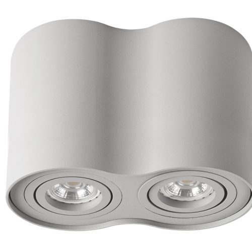 Kanlux Aluminium Aufbaustrahler silber matt BORD DLP-250 zwei Lichtquellen