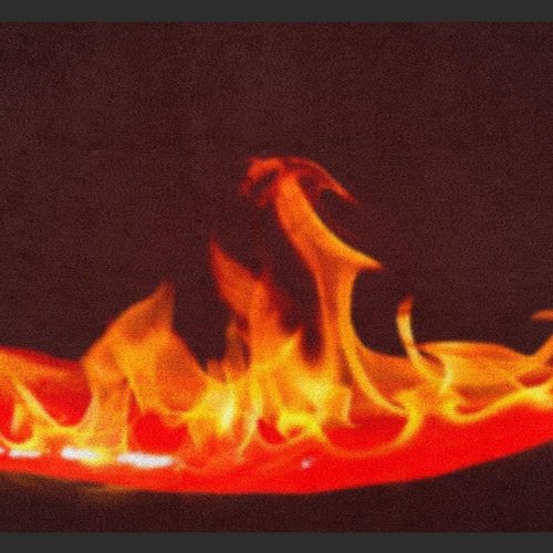 Küchenteppich Hot Chilli 4348
