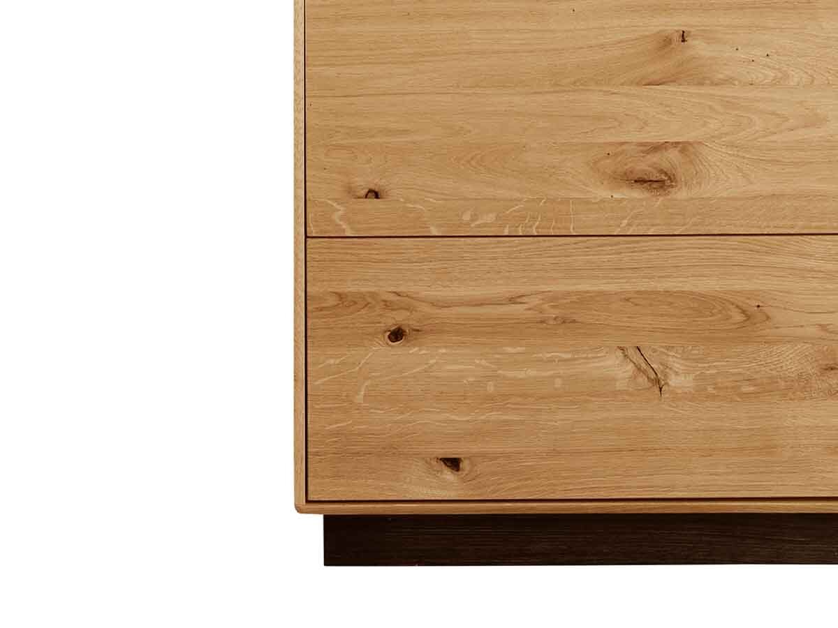TPT Vitrine Arosa Wildeiche links